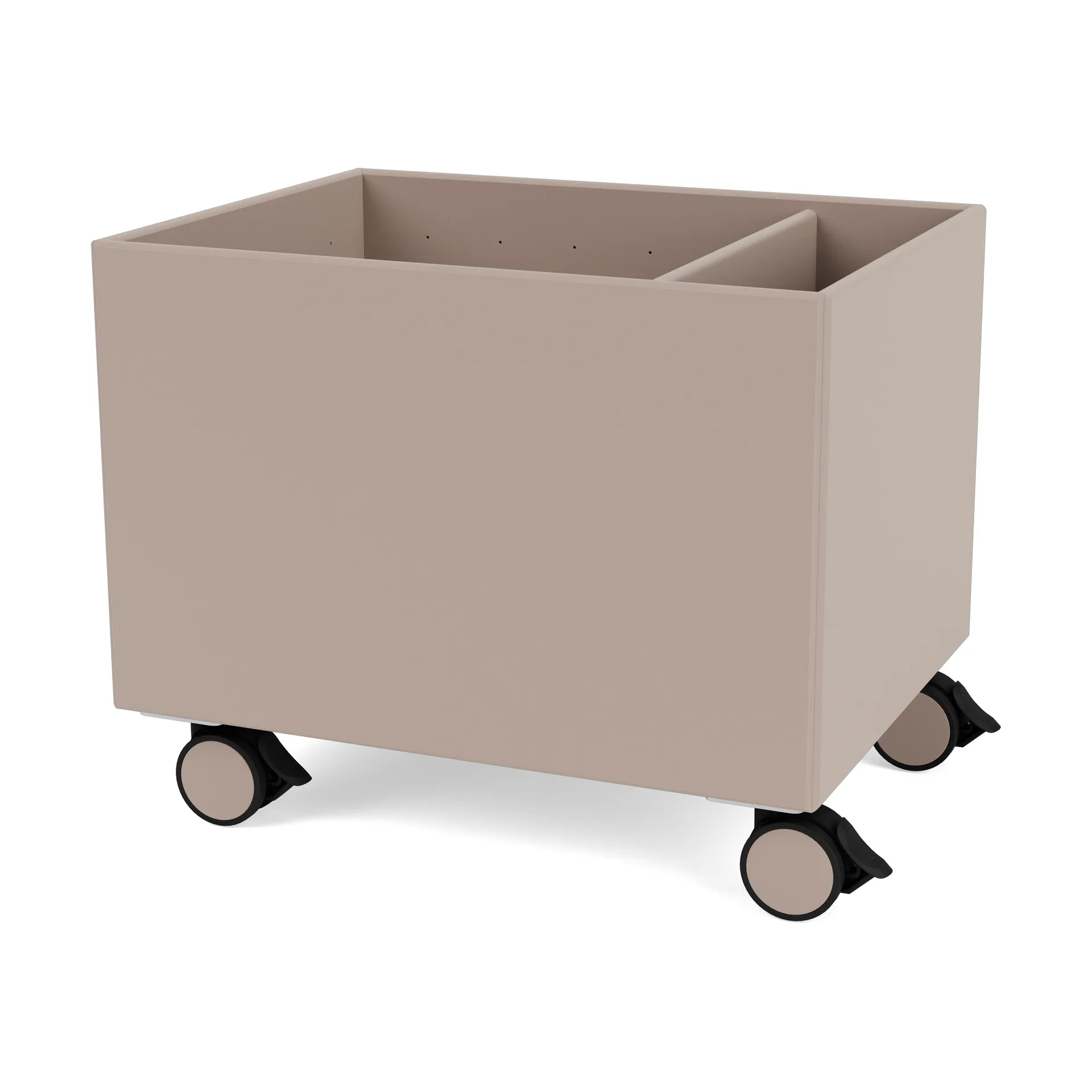 Colour Box II, Mushroom Montana