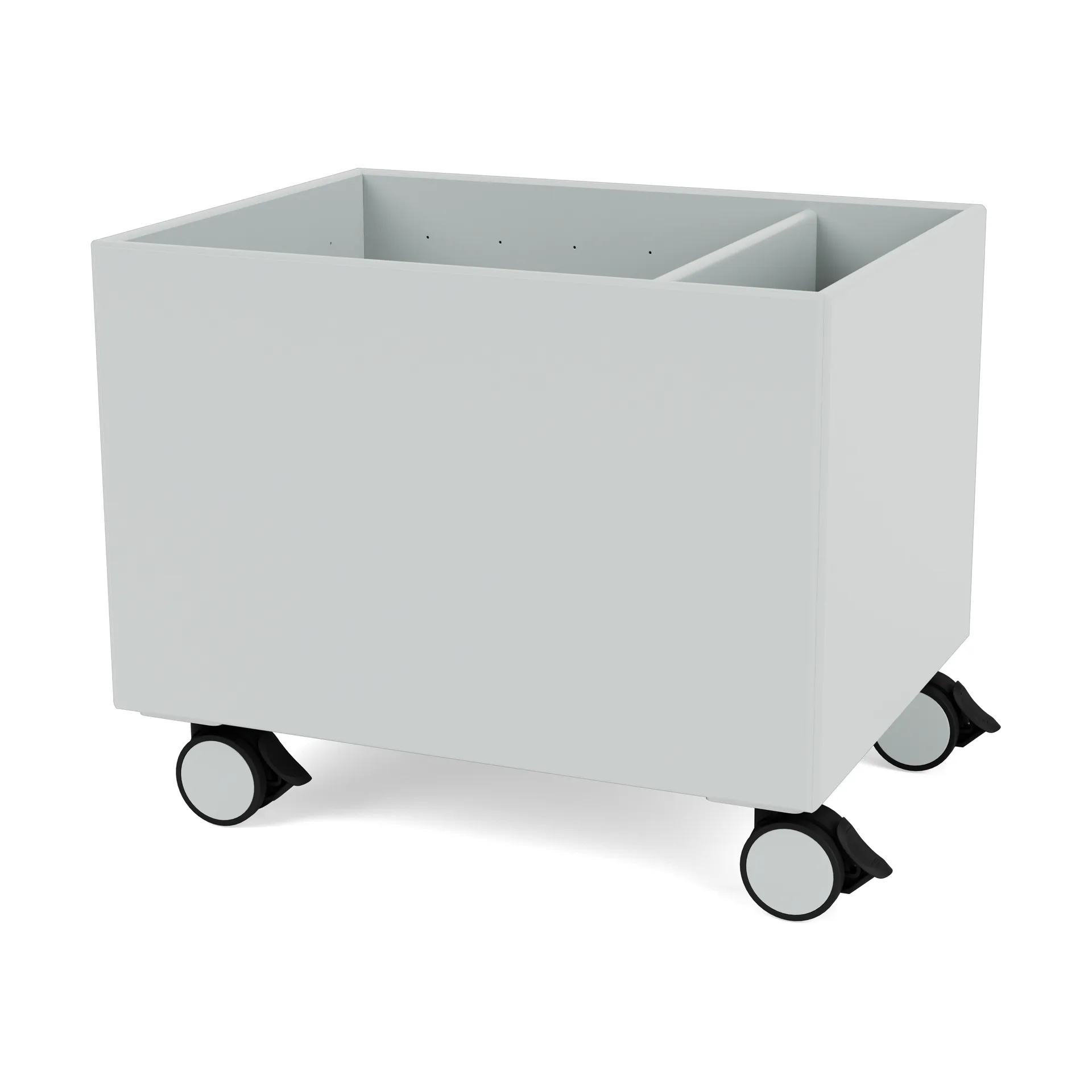 Colour Box II, Oyster Montana