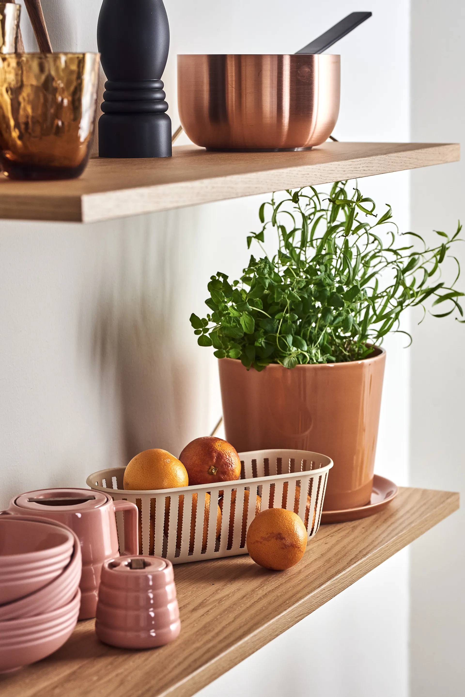 Lines sukkerskål, Rosa NJRD