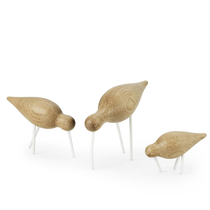 Shorebird eik-hvit, mellom Normann Copenhagen