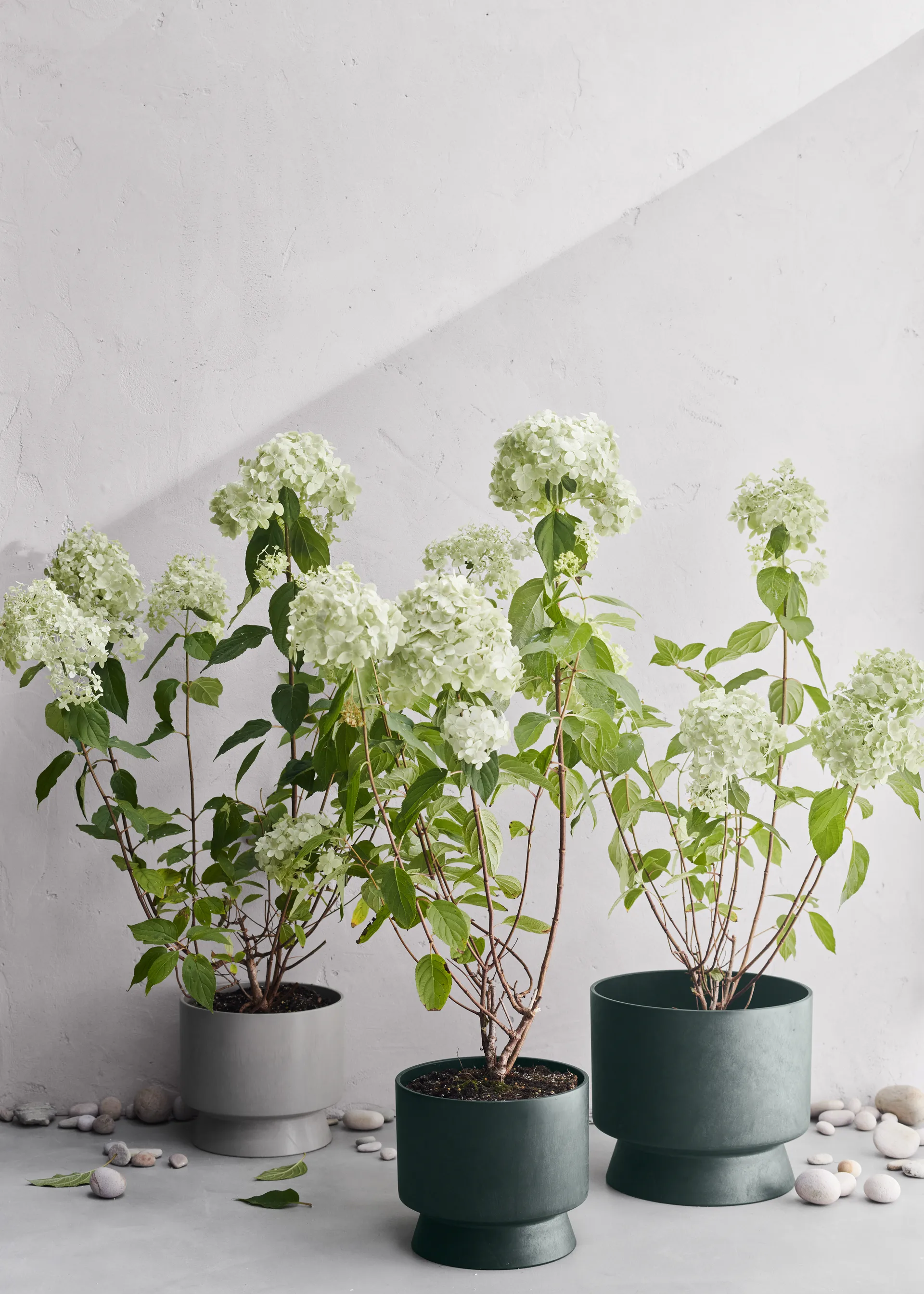 Ro blomsterkrukke Ø 30 cm, Mørkegrønn Rosendahl
