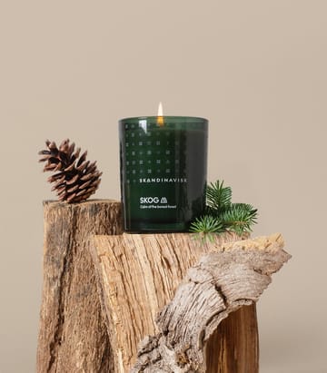 Skog duftlys med lokk - 65 g - Skandinavisk
