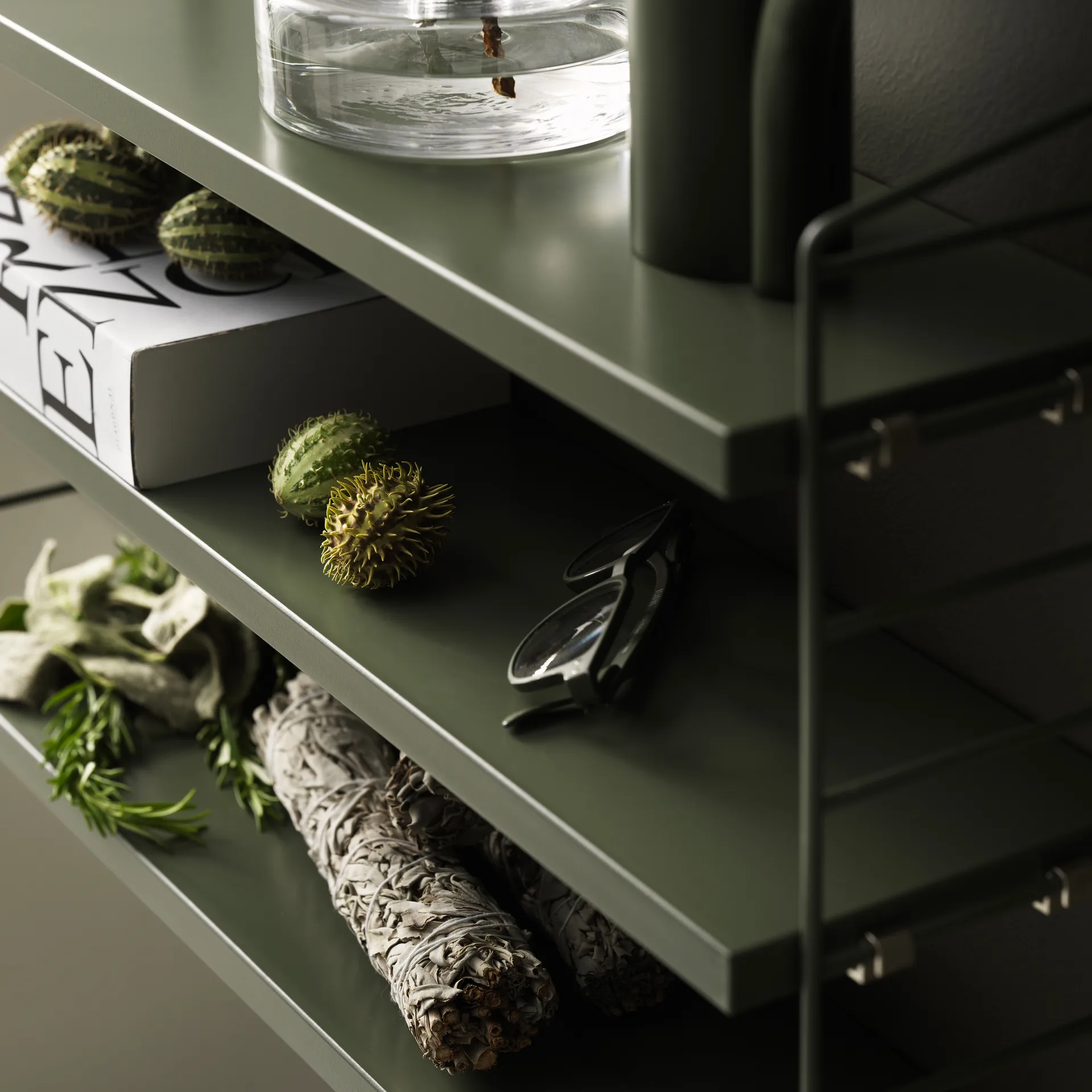 Stringhylle Pocket sage, Sage (grønn) String