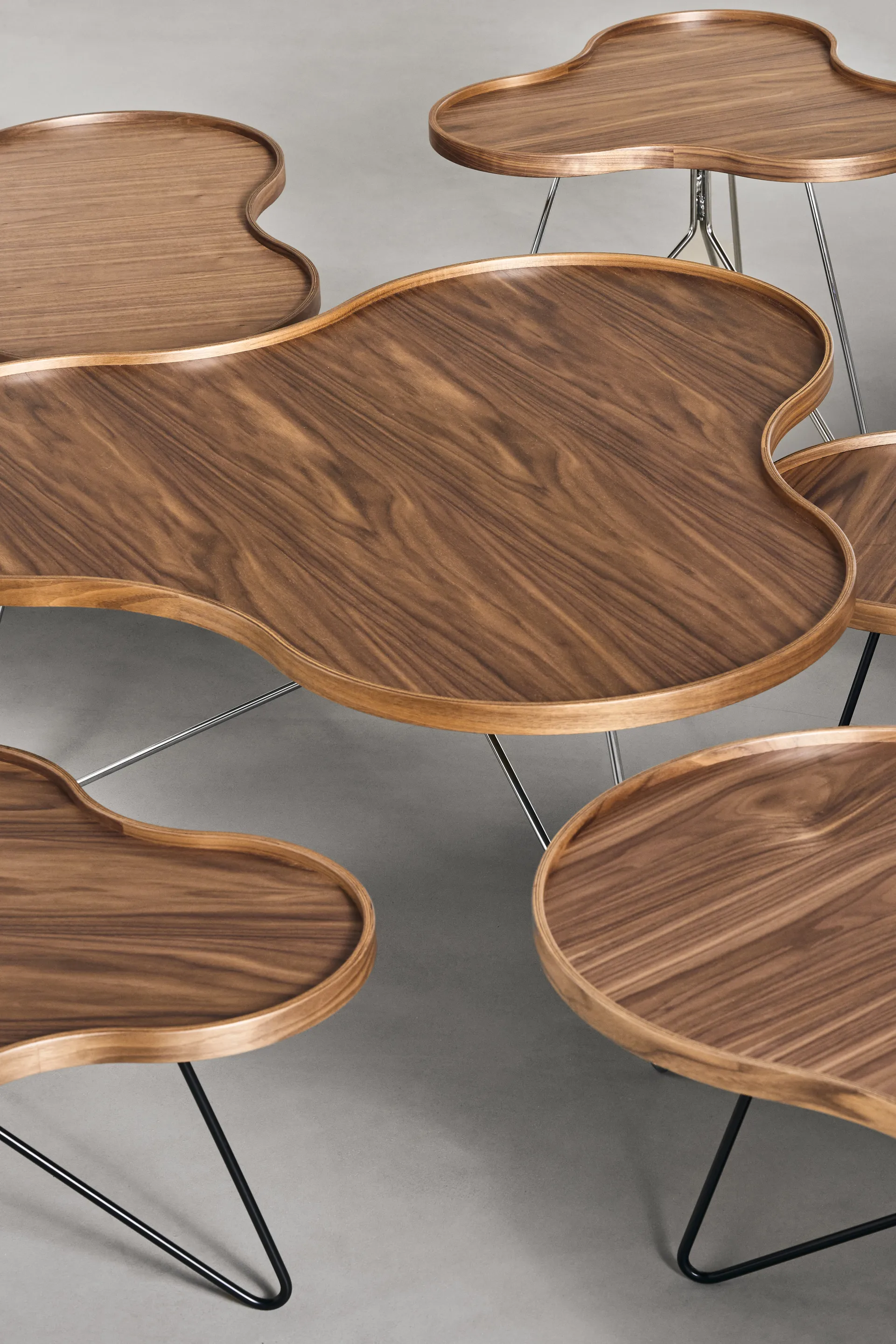 Flower mono bord Special Edition 62x66 cm, H39 cm-lakkert valnøtt-krommet stål Swedese