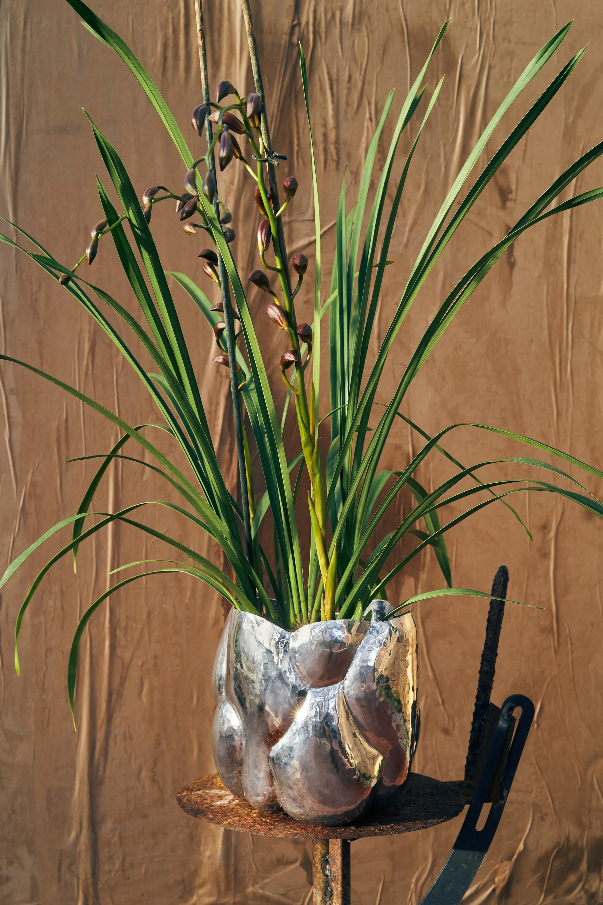 Cloud vase lav, Sølv Tom Dixon