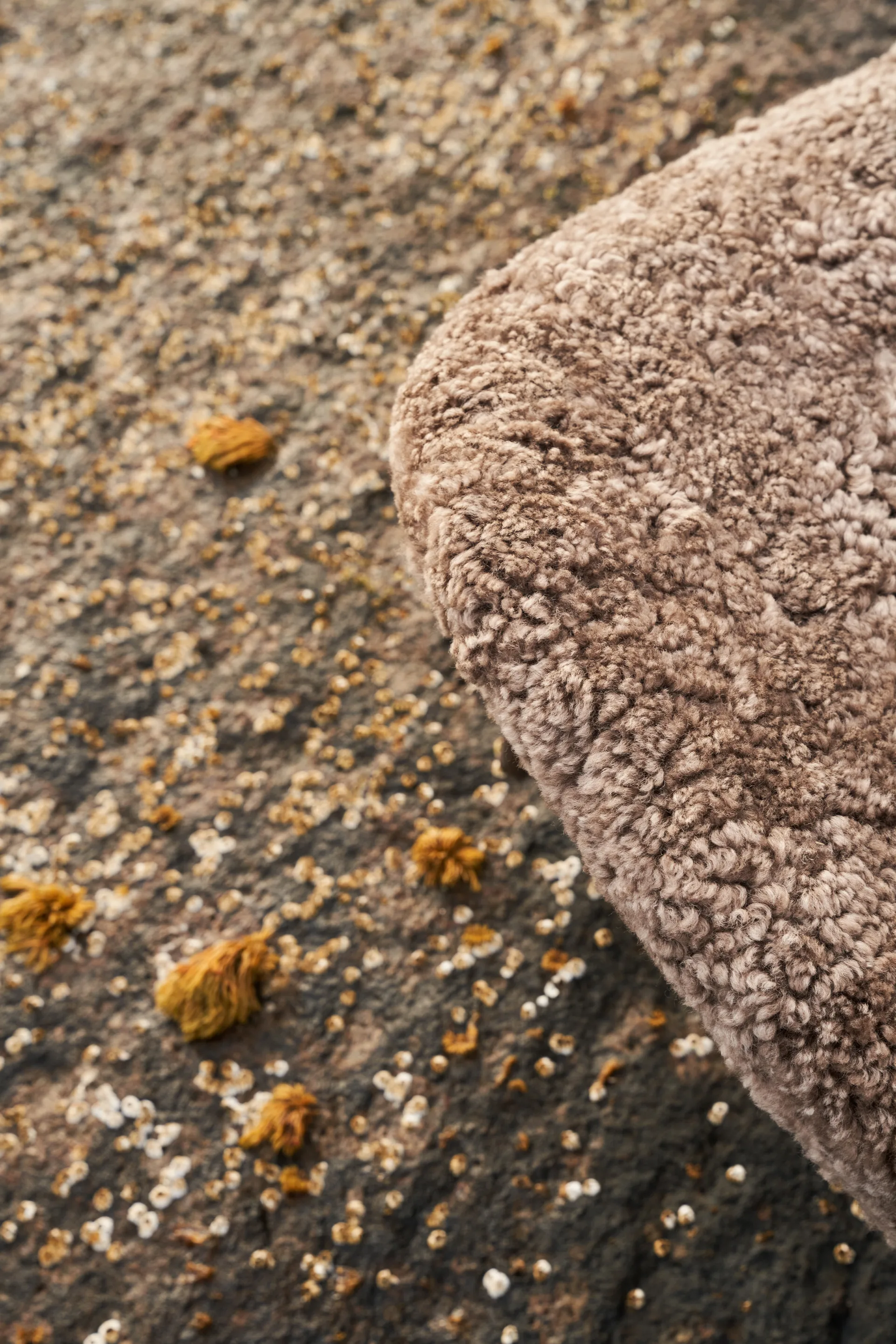 Vipp469 Lodge lounge lenestol low back, Curly 09 off white-dark oak Vipp