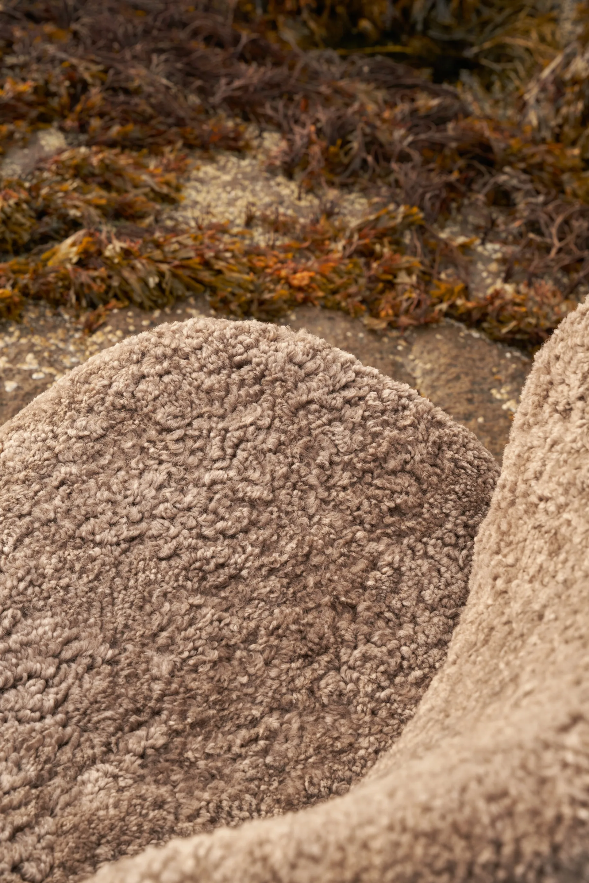 Vipp469 Lodge lounge lenestol low back, Curly 09 off white-dark oak Vipp