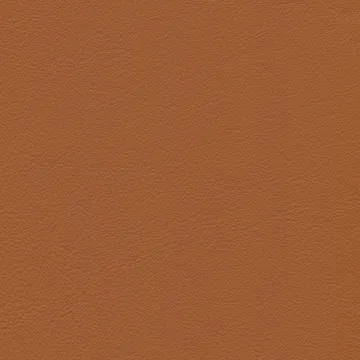 Cone Chair stol - Leather premium F cognac-rustfritt stål - Vitra