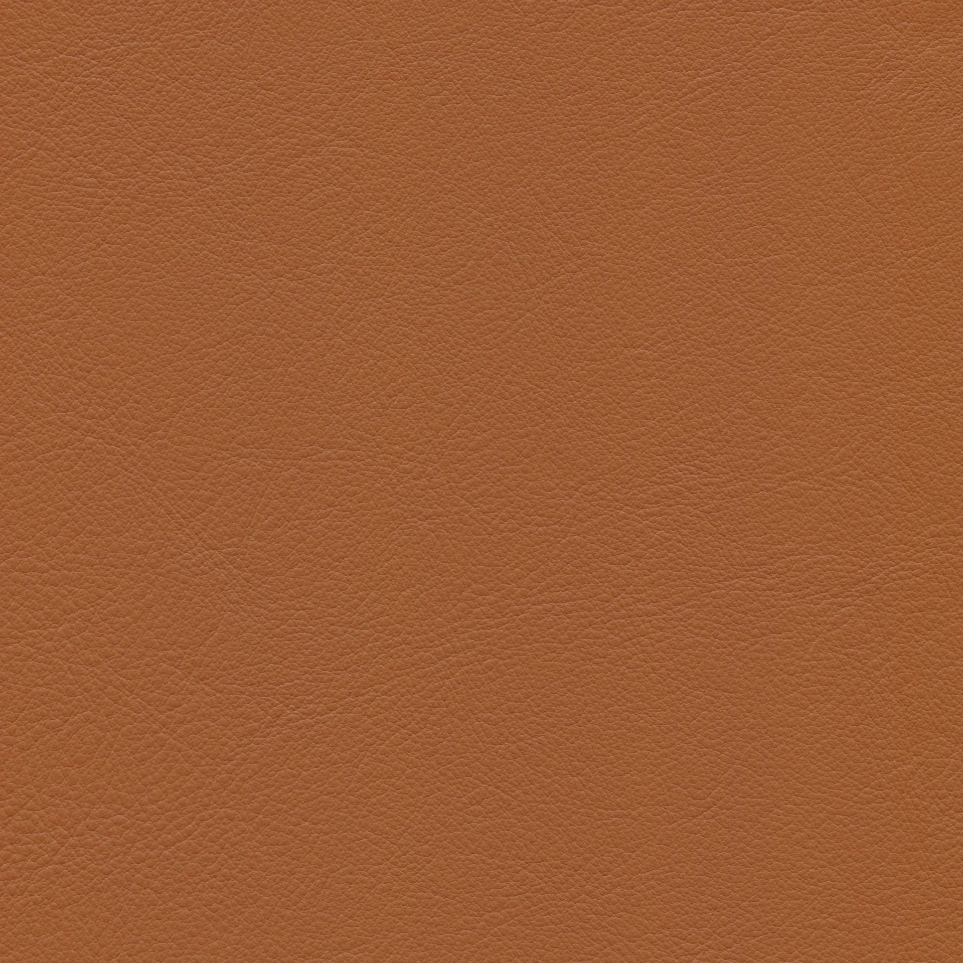 Heart Cone Chair lenestol, Leather premium F cognac-rustfritt stål Vitra